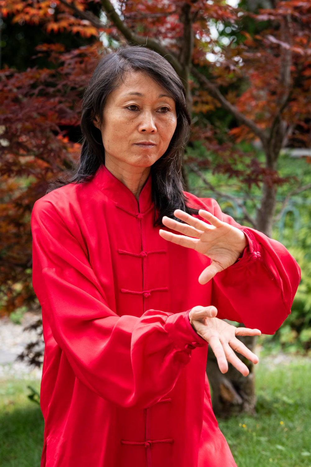 Artaichi galerie photo 05